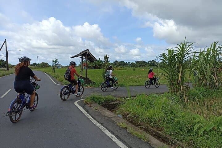 E‑Bike Tour South Ubud: Rice Fields, Ayung River & Traditional Balinese Lunch photo 4