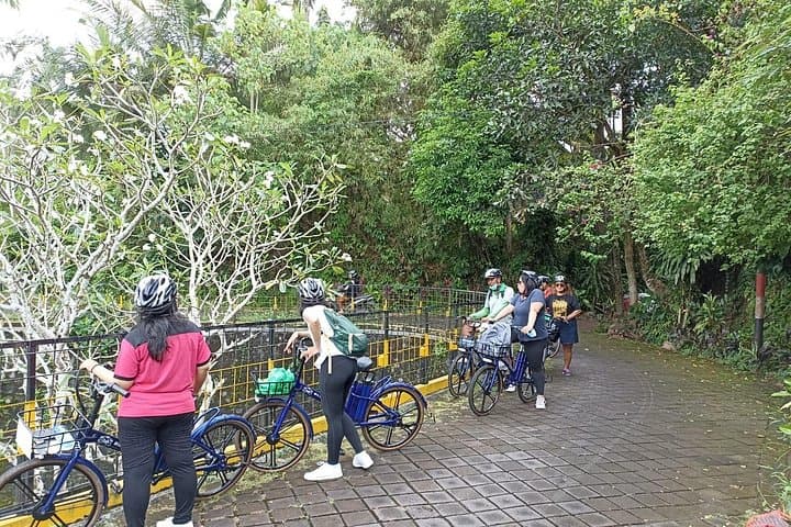 E‑Bike Tour South Ubud: Rice Fields, Ayung River & Traditional Balinese Lunch photo 6
