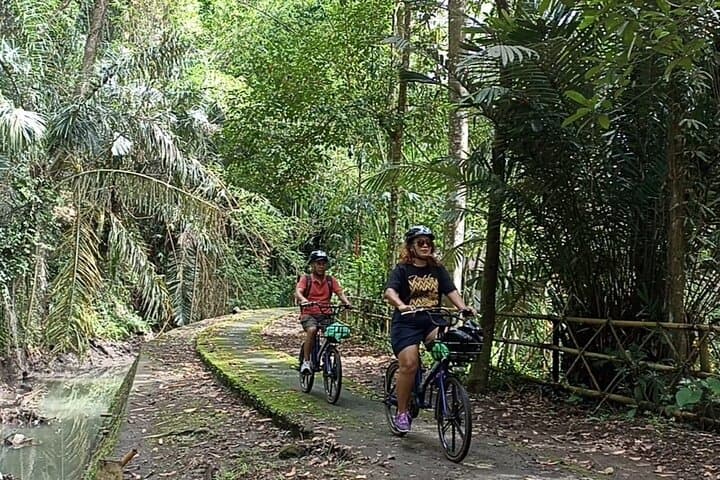 South Ubud E‑Bike & Ayung River Rafting: Rice‑Field Rides to Class 2–3 Rapids photo 3