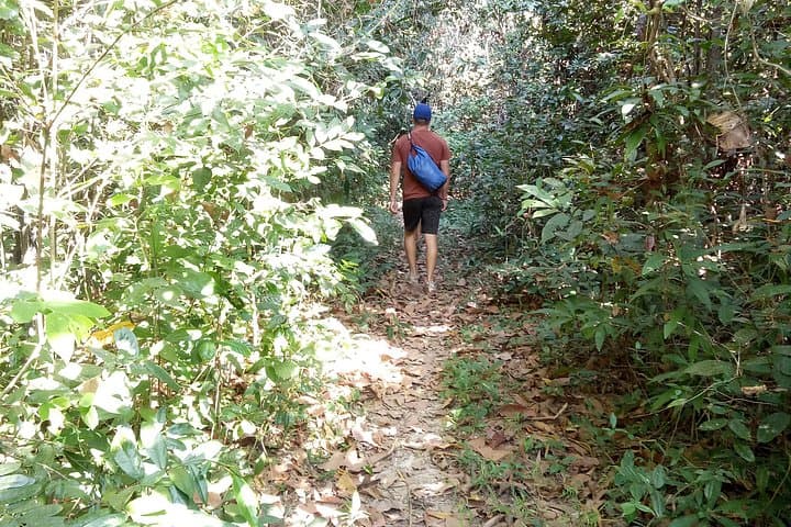 Dong Natad Forest Trek — Savannakhet Day Hike to That Ing Hang & Lakeside Picnic photo 5