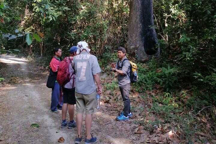 Dong Natad Forest Trek — Savannakhet Day Hike to That Ing Hang & Lakeside Picnic
