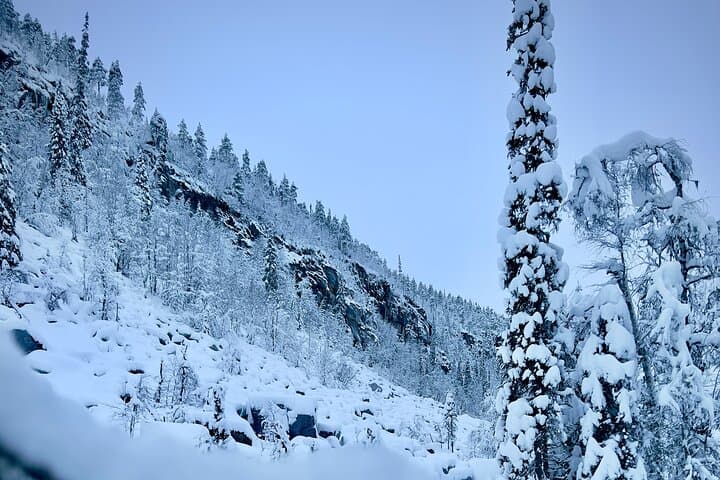 Korouoma Frozen Waterfalls Hiking Tour — Ice-Wall Hike Near Rovaniemi photo 4
