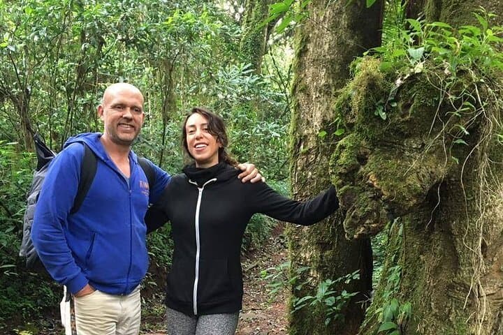 6-Day Kilimanjaro Climb — Marangu Route Hut-to-Hut Summit Trek photo 3