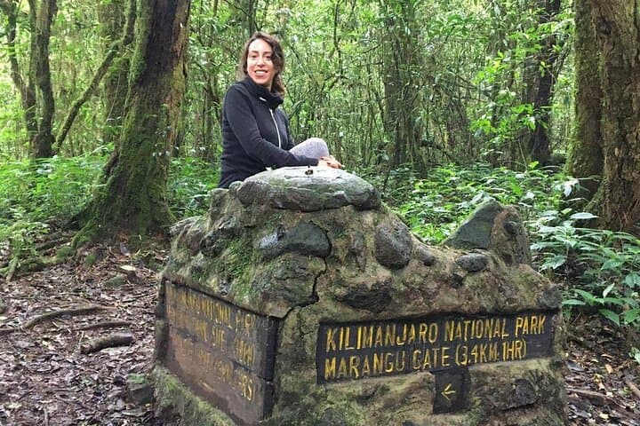 6-Day Kilimanjaro Climb — Marangu Route Hut-to-Hut Summit Trek photo 5