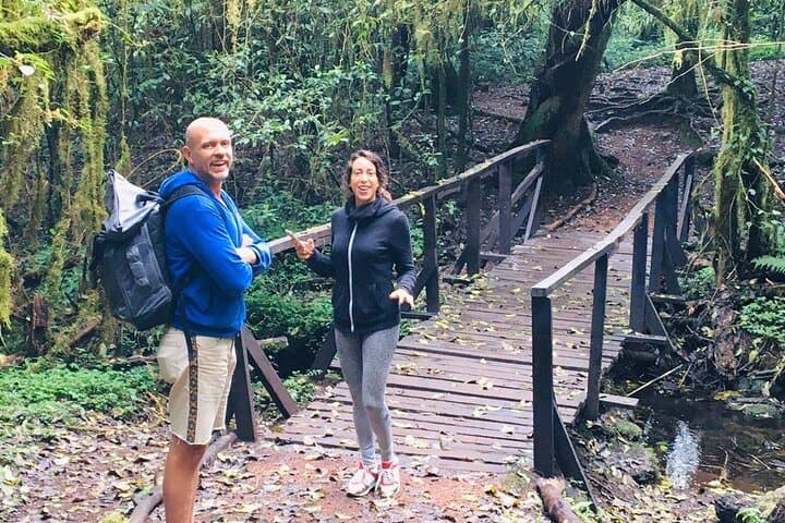 6-Day Kilimanjaro Climb — Marangu Route Hut-to-Hut Summit Trek photo 6