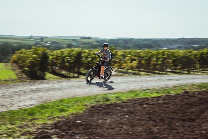 Off‑Road Electric Scooter Through Cognac Vineyards — The Gabarres River Route photo 4