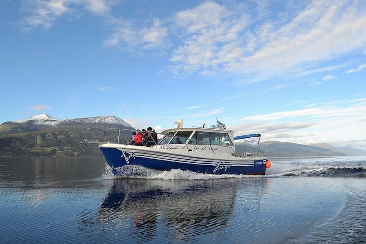 Beagle Channel Yacht Excursion on Tango — Ushuaia Wildlife & Les Eclaireurs Lighthouse