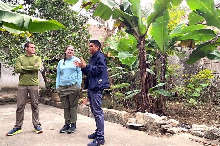 Luxury Ninh Binh Day Trip: Tam Coc Sampan, Mua Cave Viewpoint & Village Cycling from Hanoi photo 4