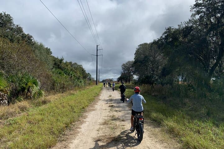 Explore Florida’s Wilds on the Myakka State Park E-bike Safari photo 4