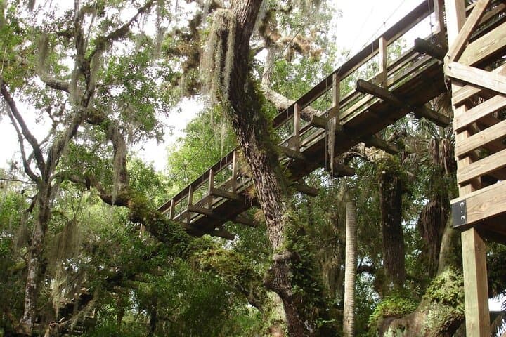 Explore Florida’s Wilds on the Myakka State Park E-bike Safari photo 6