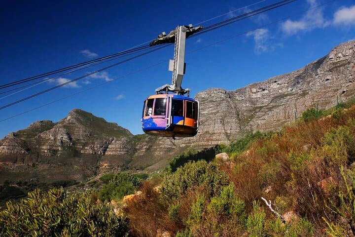 Full-Day Cape Peninsula Private Tour: Table Mountain, Cape Point & Boulders Penguins photo 4