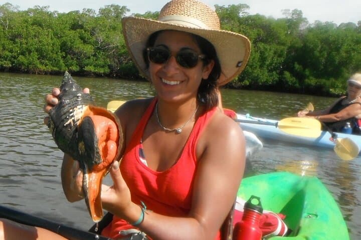 Guided Dolphin Kayak & SUP Eco Tour in Estero Bay (Big Hickory Island) photo 4