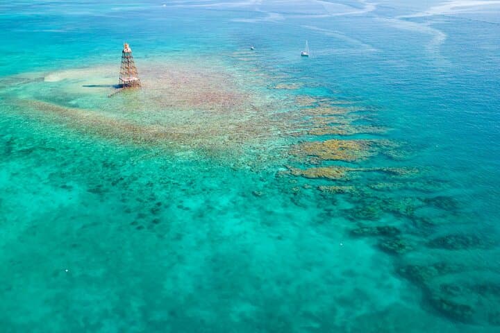 Key West Afternoon Reef Snorkeling with Open Bar — Dip & Sip on the Sandie Cat photo 3