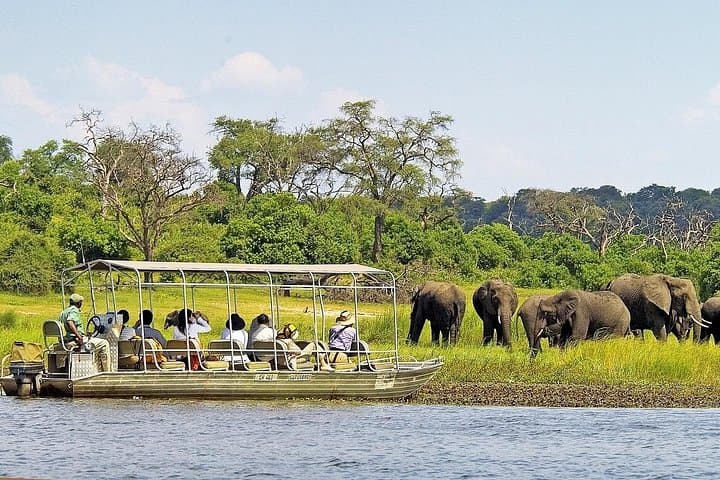Chobe Boat Cruise and Game Drive Day Trip — Kasane Wildlife Safari photo 1