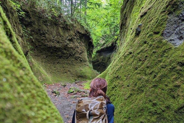 Explore Lake Shikotsu and Moss Canyon: Private Day Trip from Sapporo