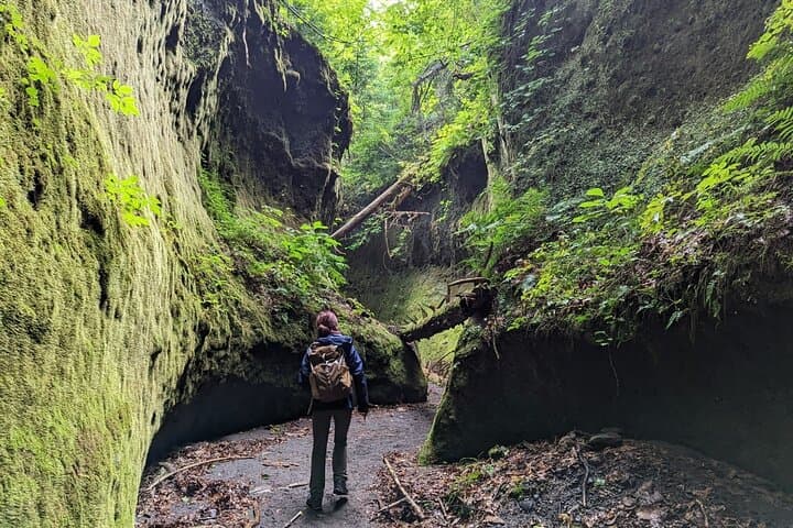 Explore Lake Shikotsu and Moss Canyon: Private Day Trip from Sapporo photo 3