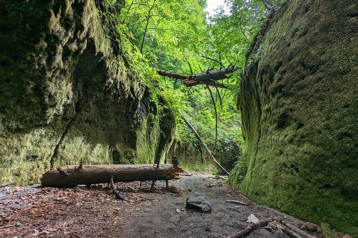Explore Lake Shikotsu and Moss Canyon: Private Day Trip from Sapporo photo 4