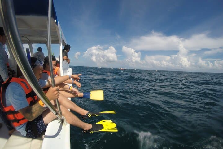 Swim with Whale Sharks from Isla Mujeres: Guided Snorkel Tour & Beach Lunch photo 3