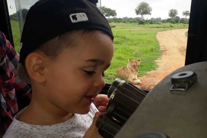3-Day Mikumi Safari from Zanzibar — Mikumi National Park Wildlife & Maasai Village photo 3