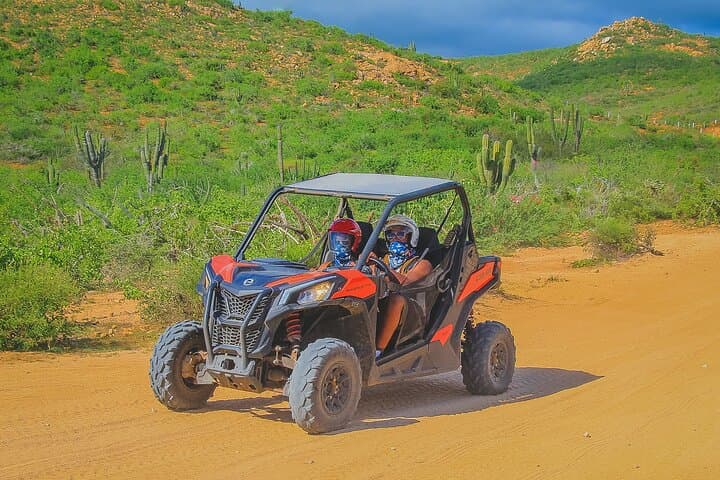 Cabo Combo Adventure: ATV, UTV, Horseback & Camel Rides (2-Hour) photo 6