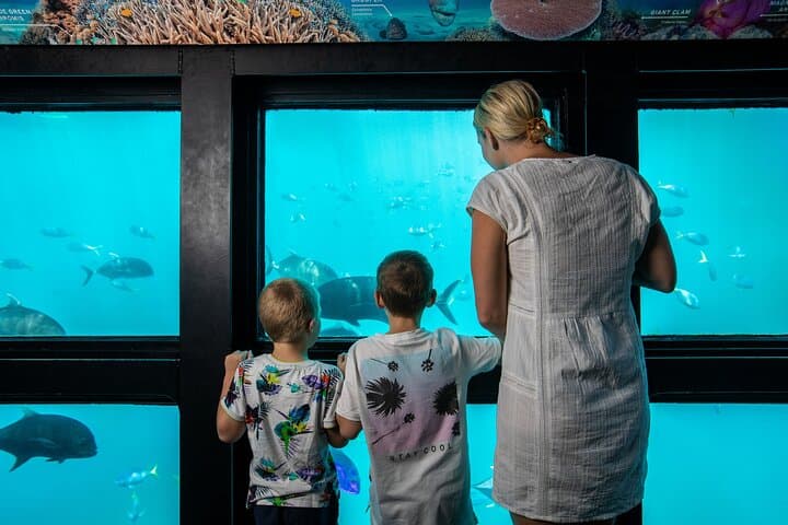 Reefworld at Hardy Reef — Full-Day Great Barrier Reef Adventure from Airlie Beach photo 2