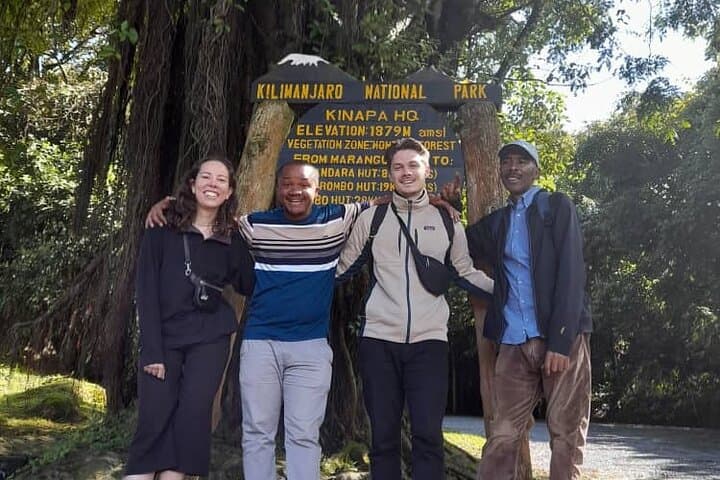 Day Hike to Mandara Hut — Kilimanjaro’s Forest Route from Moshi