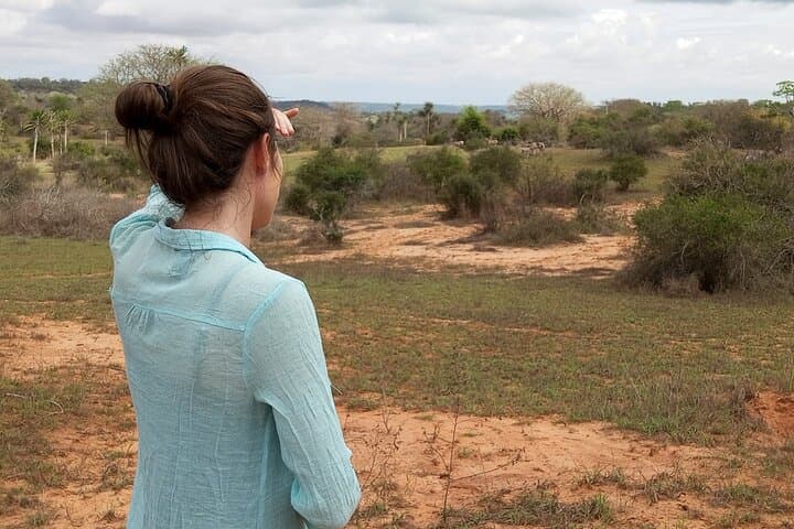 Kissama National Park Safari: Day Trip from Luanda to Angola's Wild Frontier photo 2