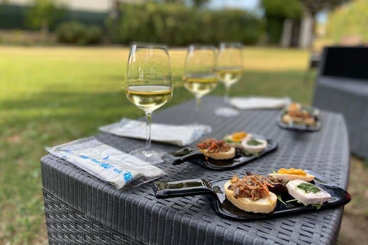 Conero E‑Bike Wine & Coastal Views Tour from Marcelli