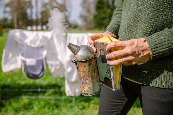 Small-Group Beekeeping Experience in Tauherenikau: Manuka Honey Tour photo 4