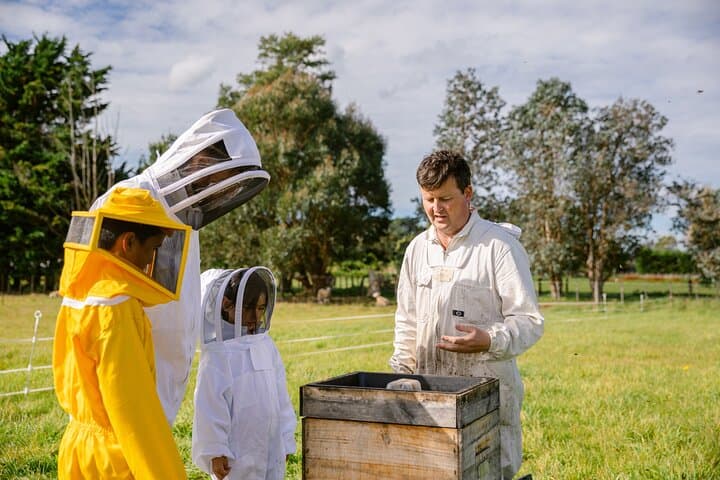 Small-Group Beekeeping Experience in Tauherenikau: Manuka Honey Tour photo 3