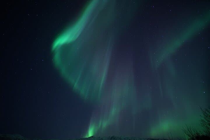 Tromsø Evening Northern Lights Boat Cruise aboard Sagasund photo 5