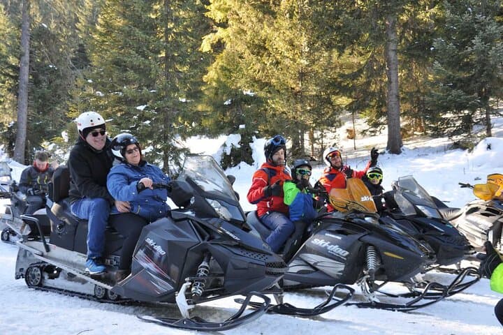 Borovets Ultimate Snowmobile Experience: 1-Hour Rila Forest Ride