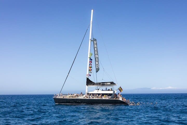 Sail to Masca: Catamaran Whale and Dolphin Cruise from Puerto Colón