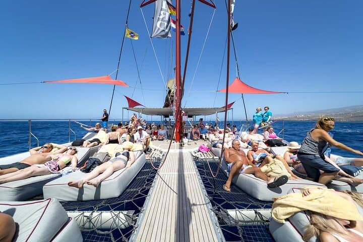 Adults-Only Tenerife Whale & Dolphin Catamaran Cruise with Lunch photo 2