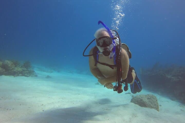 Key Largo 2-Tank Scuba Dive — 65-Minute Sites at Molasses & French Reef photo 2