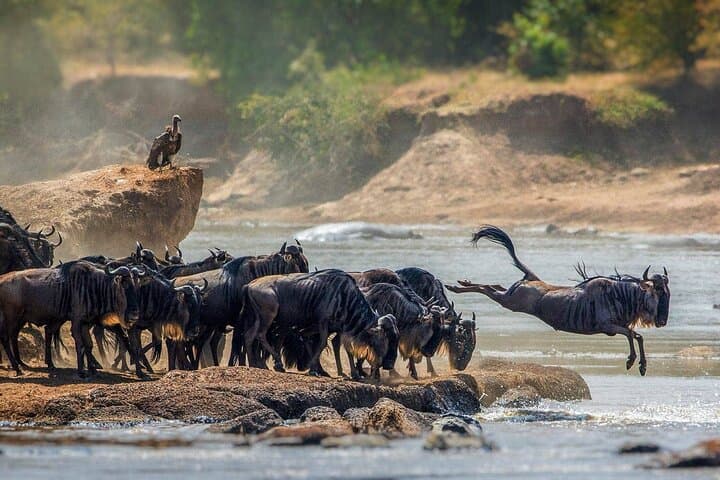 4-Day Private Safari: Tarangire, Serengeti & Ngorongoro Crater photo 4