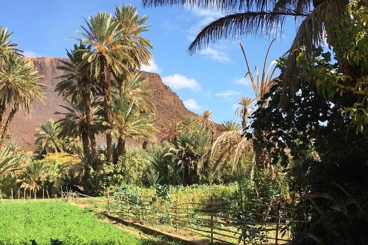 Half-Day Todra Gorges Hike: Walk the Todgha Canyon from Tinghir photo 3