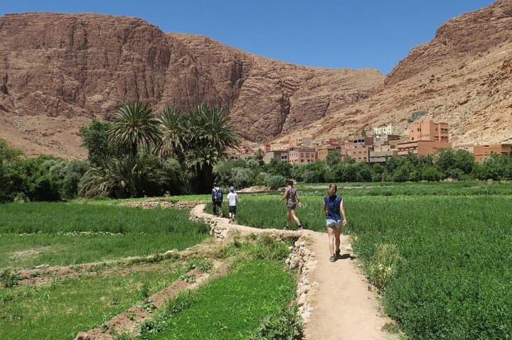 Half-Day Todra Gorges Hike: Walk the Todgha Canyon from Tinghir photo 5