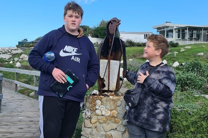 Day Trip to Stony Point Penguin Colony at Betty's Bay