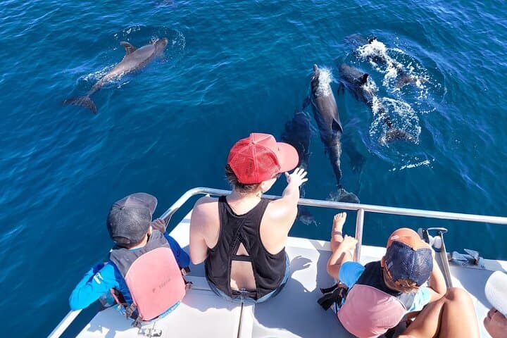 Half-Day Dolphin Watching and Snorkeling at Samara Beach, Costa Rica