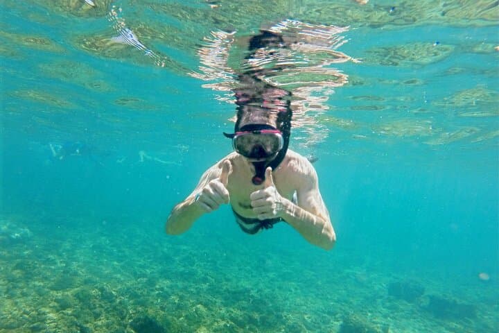 Half-Day Dolphin Watching and Snorkeling at Samara Beach, Costa Rica photo 2
