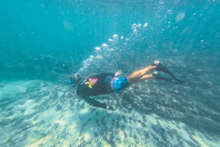 Half-Day Dolphin Watching and Snorkeling at Samara Beach, Costa Rica photo 4