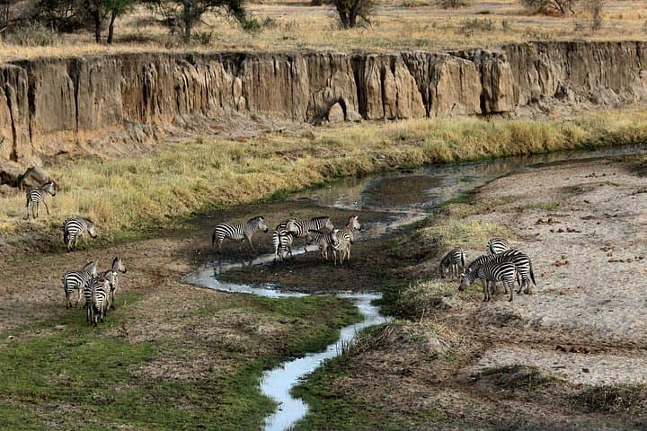 Northern Circuit: 4-Day Safari in Tarangire, Serengeti & Ngorongoro photo 3