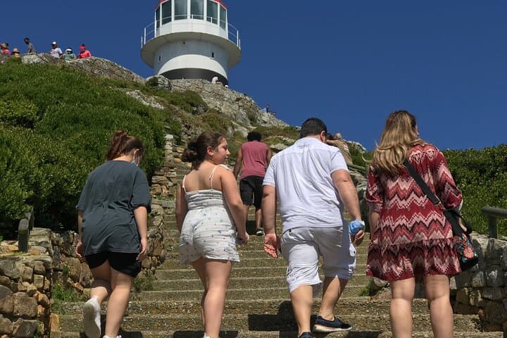 Full-Day Cape Point & Boulders Penguin Colony: Cape Peninsula Scenic Tour photo 3