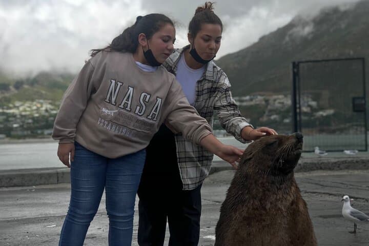 Full-Day Cape Point & Boulders Penguin Colony: Cape Peninsula Scenic Tour photo 5