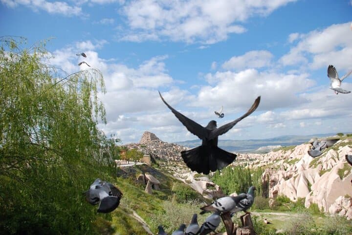 Istanbul to Cappadocia: One-Day Express Tour with Flights photo 5