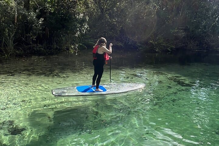 Weeki Wachee Clear Paddle Board Ecotours: Manatee SUP Tours on Florida's Spring-Fed River photo 4