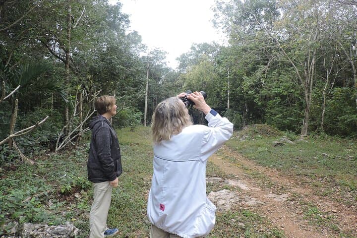 Birdwatching in Sian Ka'an: Small-Group Guided Tour from Tulum photo 4