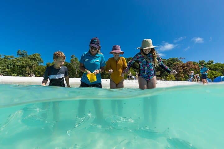 Whitehaven Beach & Hamilton Island Cruise from Airlie Beach — Day-Trip Guide photo 6