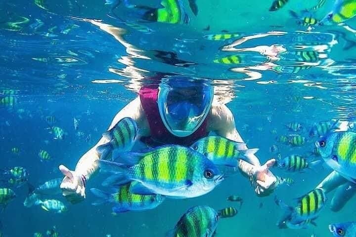 Langkawi Private Marine Odyssey: Snorkel and Mangrove Discovery